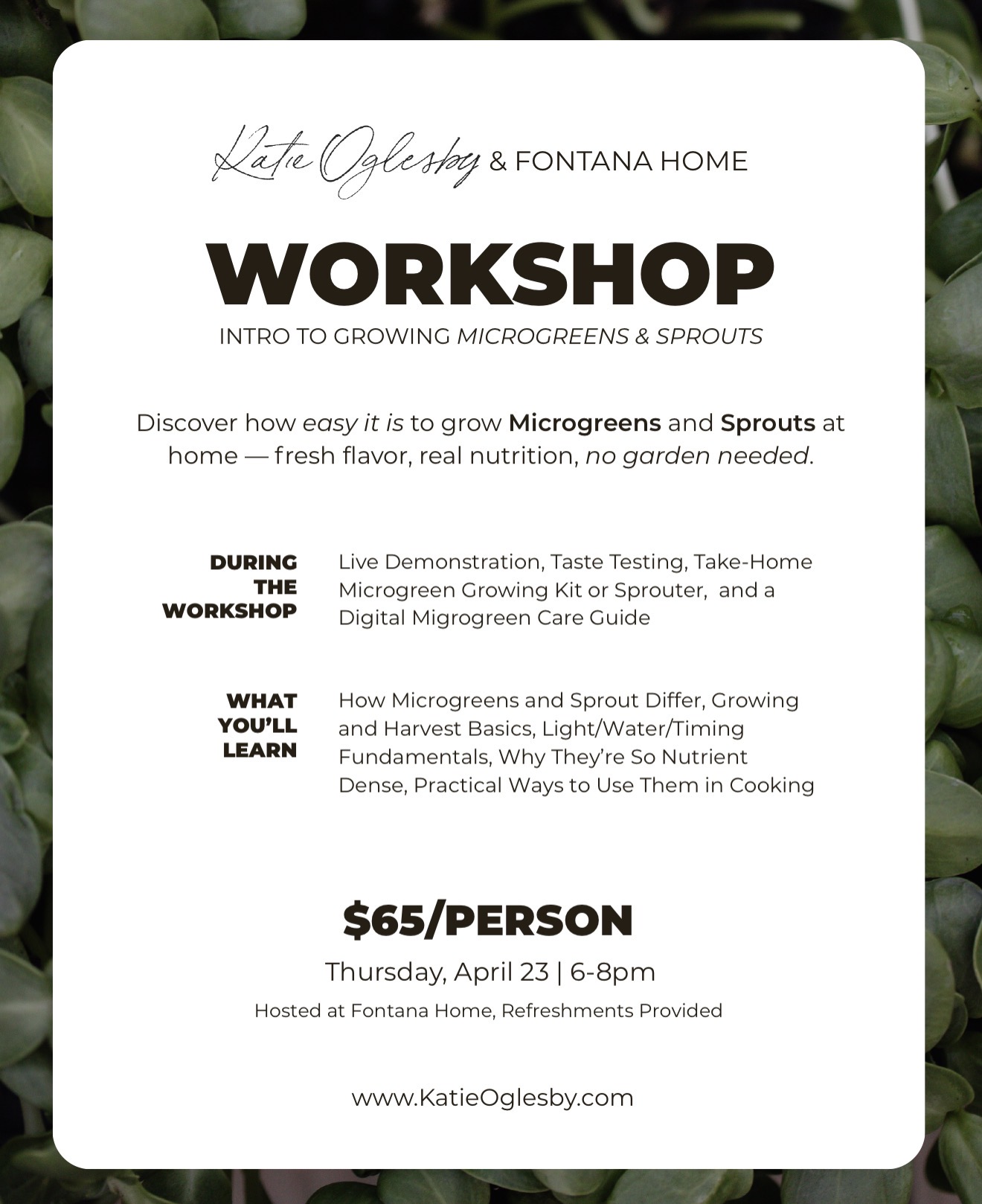 Intro to Growing Microgreens & Sprouts