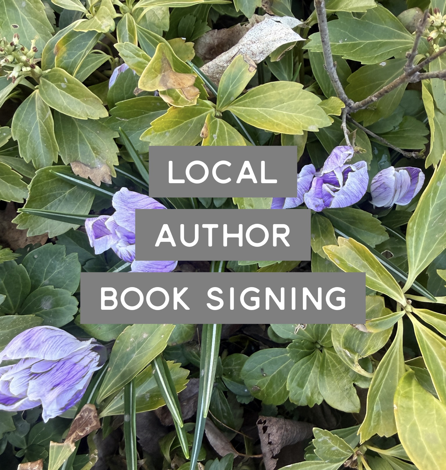 Local Author Book Signing