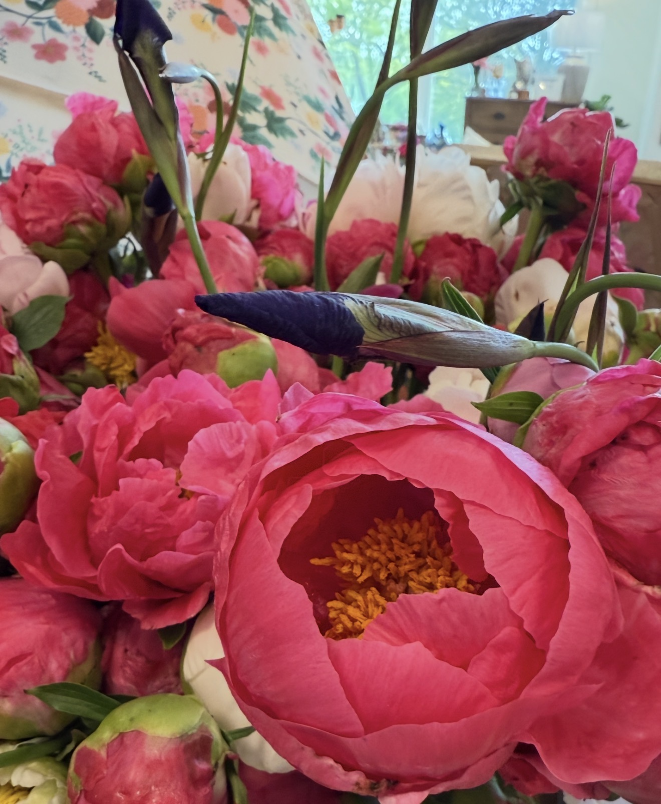 Rodney's Home Grown Peonies